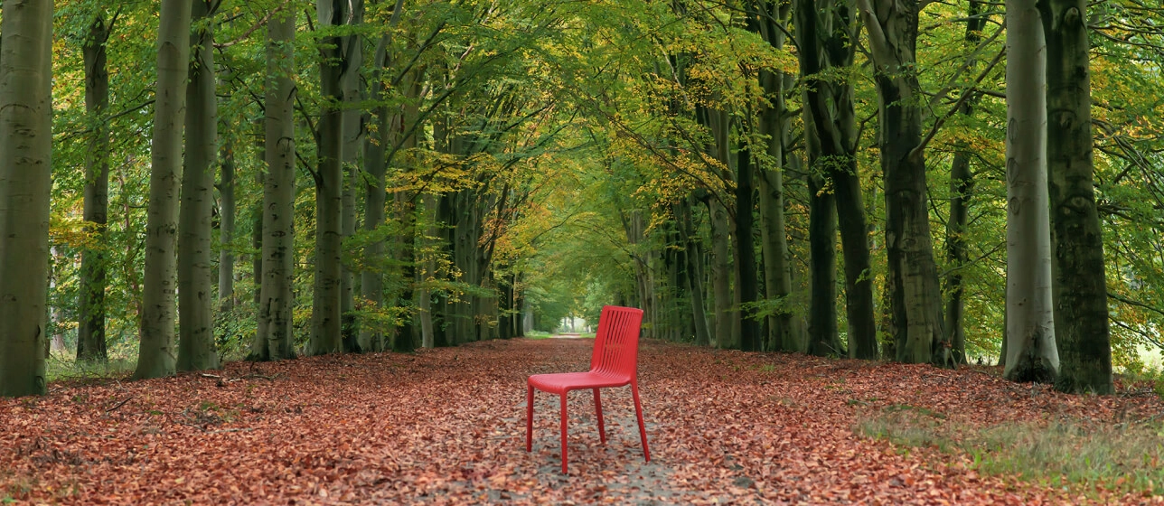 Papatya Furniture Wood Production Managemenet