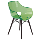 Sessel Papatya Opal-Wox transparent grün, Gestell Buche Wenge lackiert