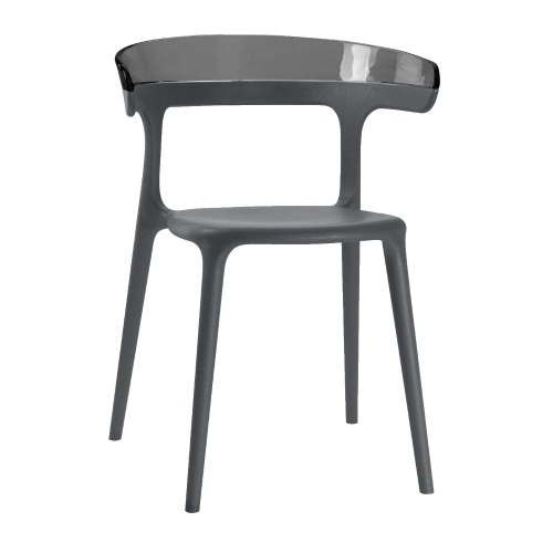 Papatya Luna Sessel anthrazitgrau Stuhlsitz, Oberteil transparent grau