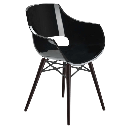 Papatya Opal Sessel-Wox transparent schwarz , Material lackierte Wenge